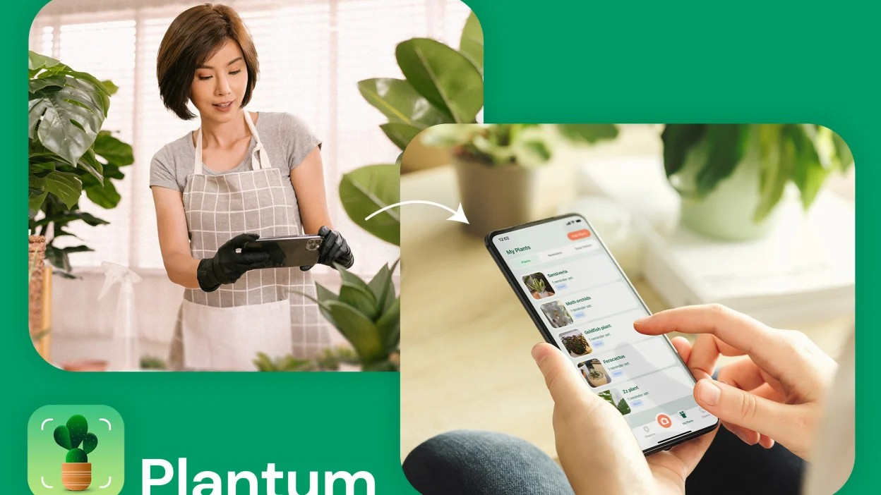 people using the plantum plant identifier app