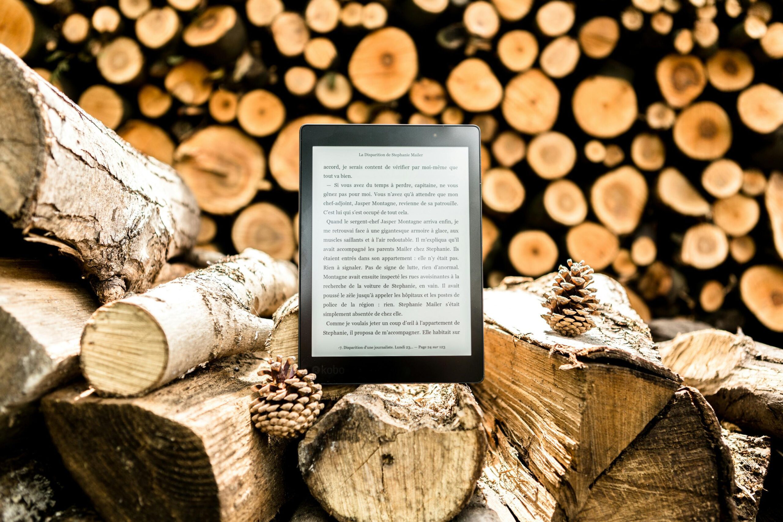 Kindle on logs