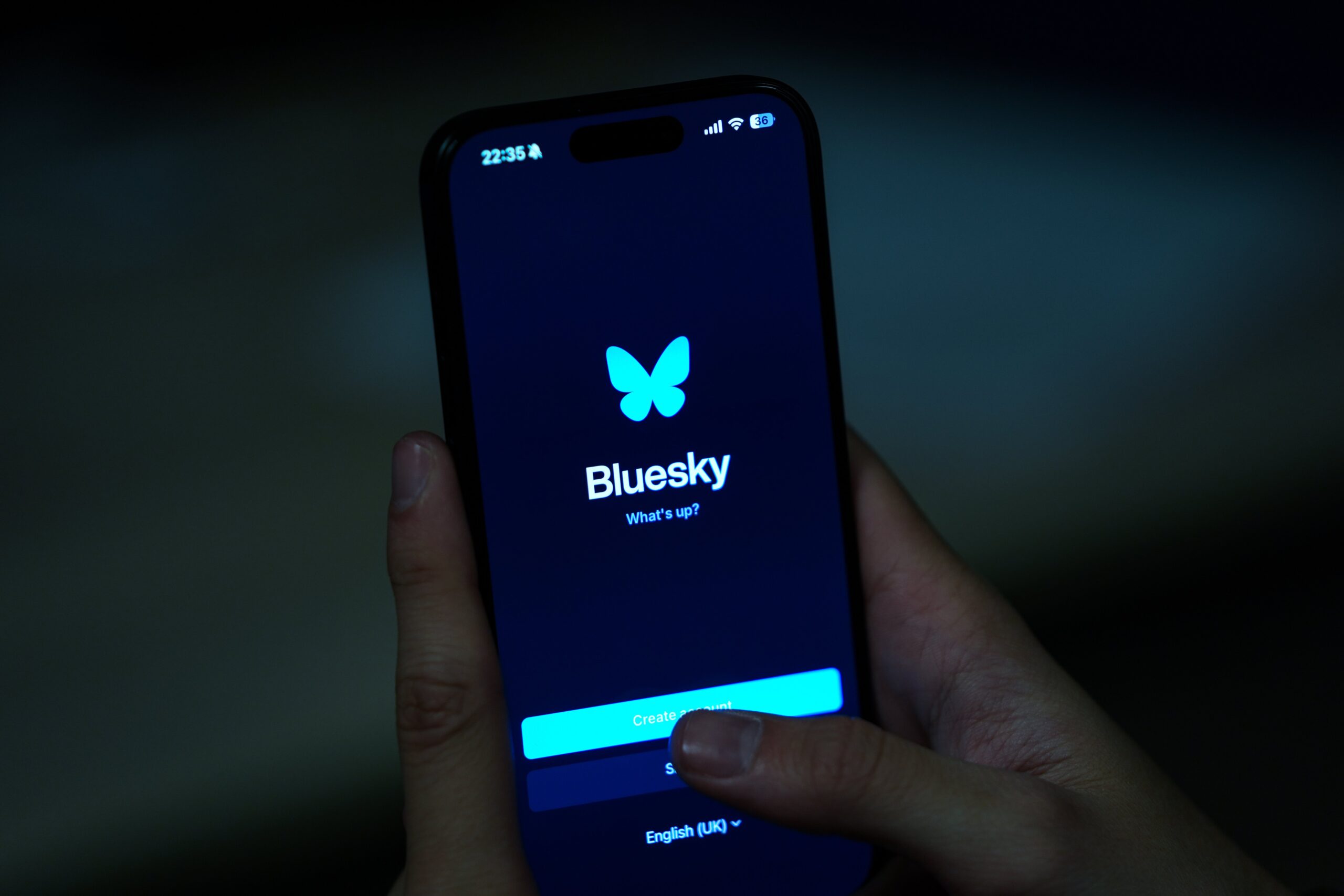 The BlueSky logo is displayed on a mobile phone screen with its icon in back of it