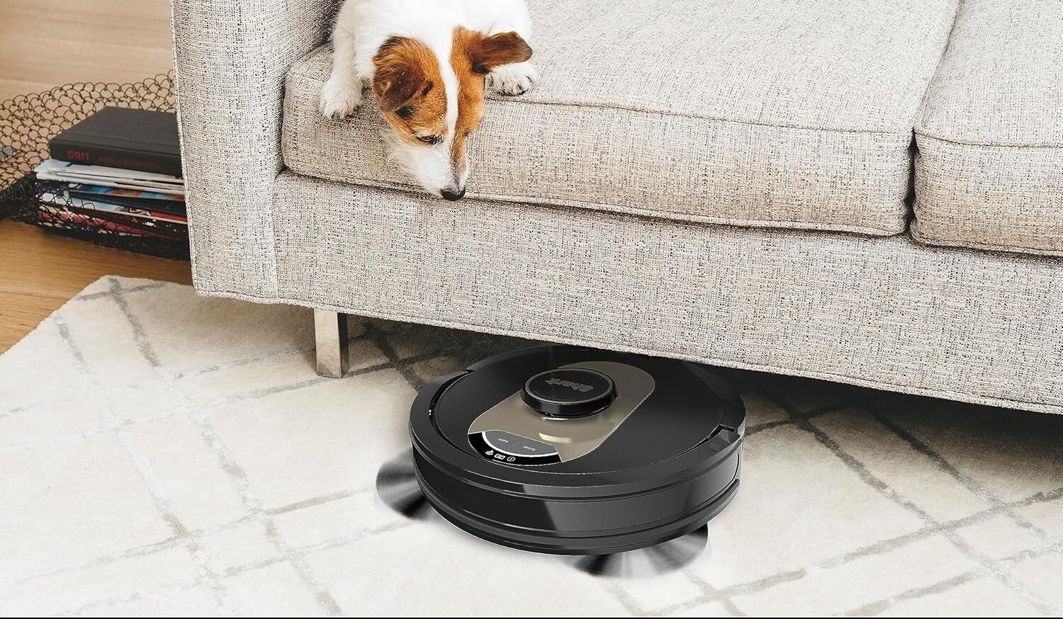 a shark robot vacuum emerges from cleaning under a cream-colored couch while a dog that lays on the couch looks down at the robot vacuum