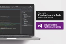 MS Visual Studio Professional 2022