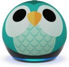 Amazon Echo Dot Kids with owl design