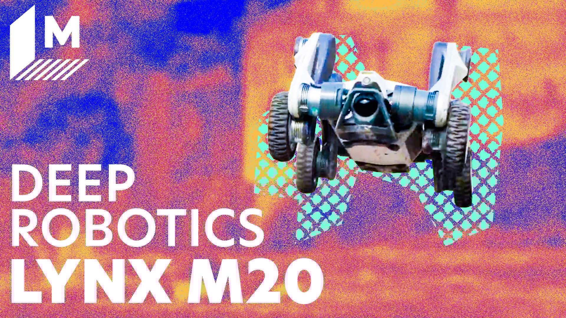 The LYNX M20 hybrid robot