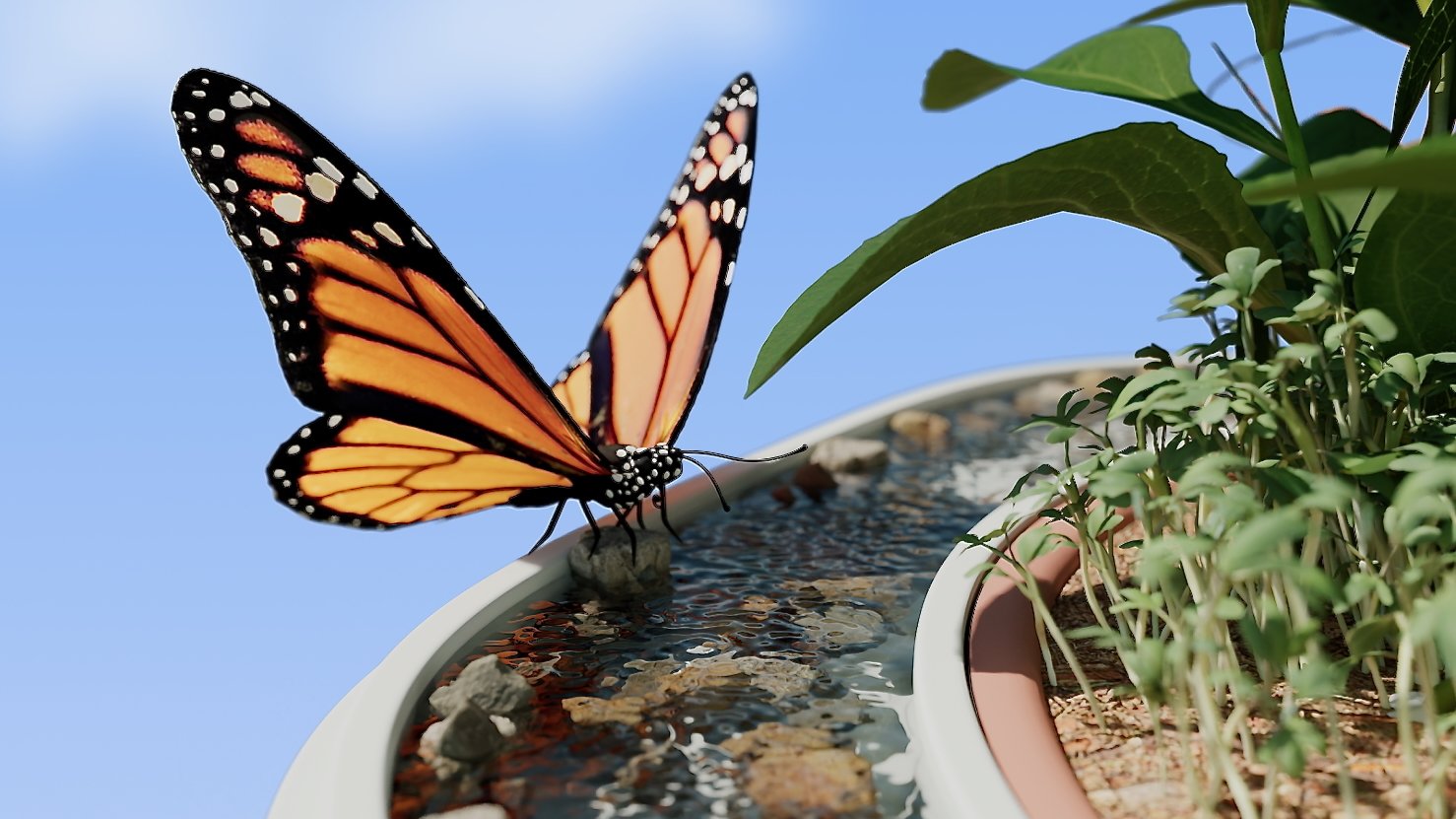 a butterfly drinking water on bird buddy's new wonder blocks
