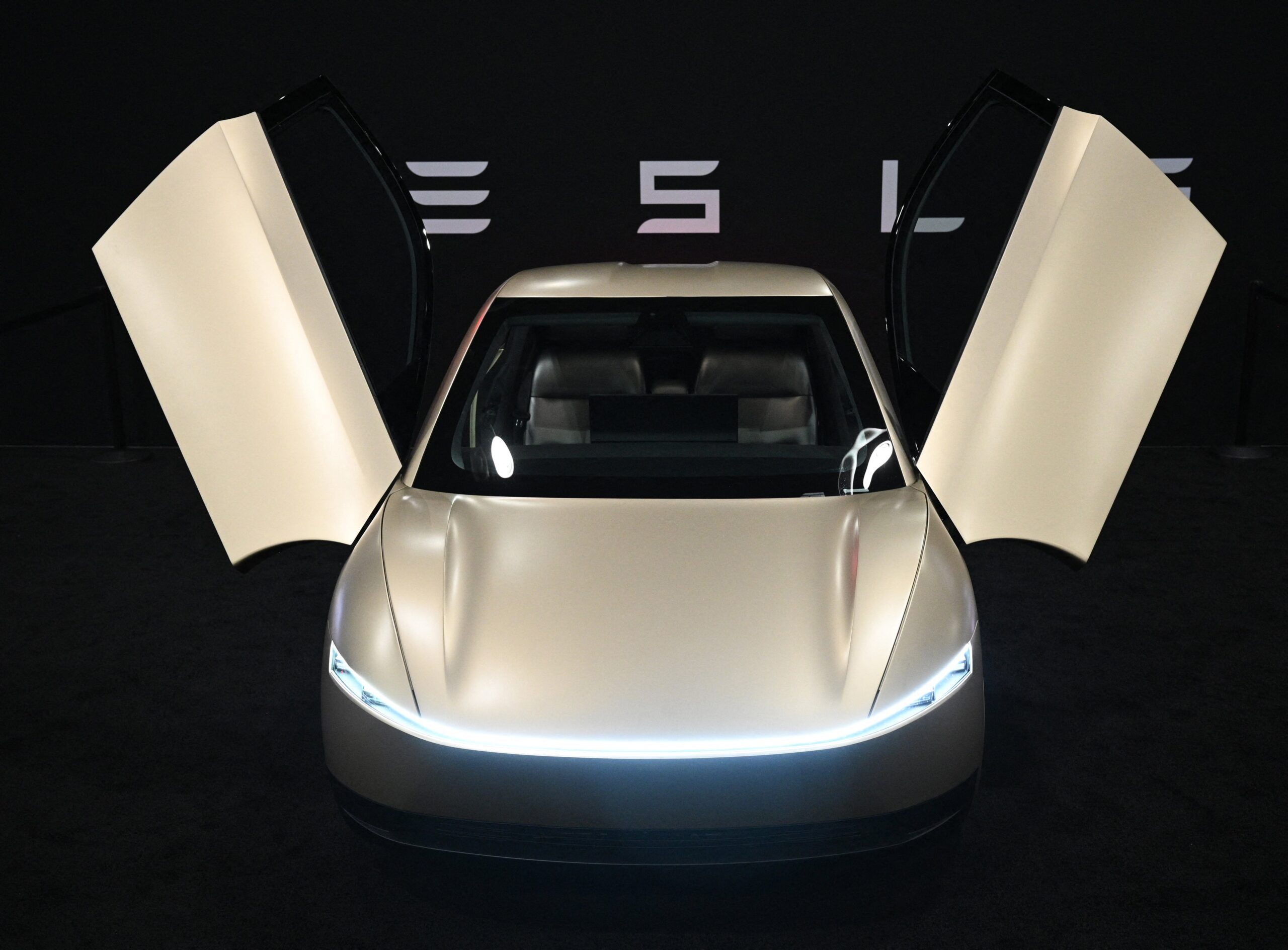 Tesla robotaxi