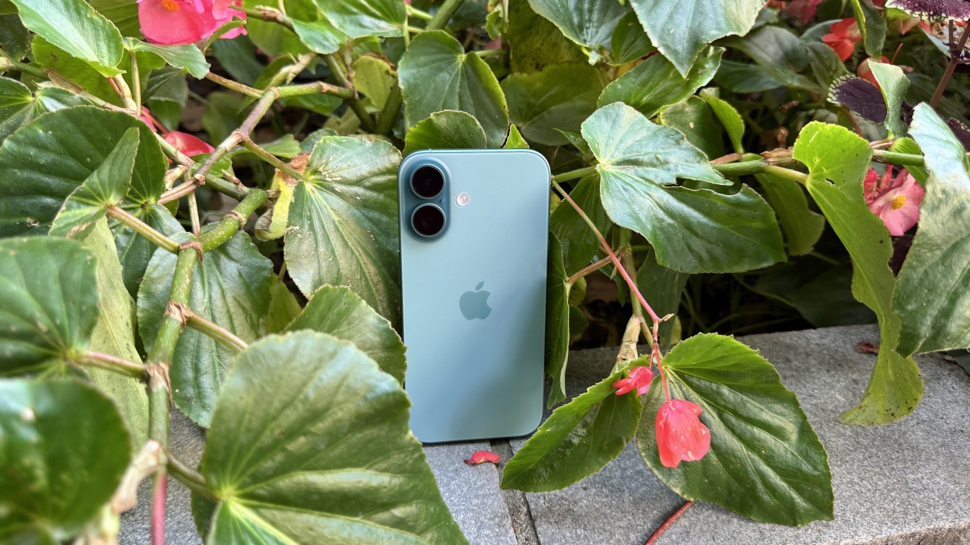 iPhone 16 leaning against grass