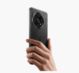 OnePlus 13