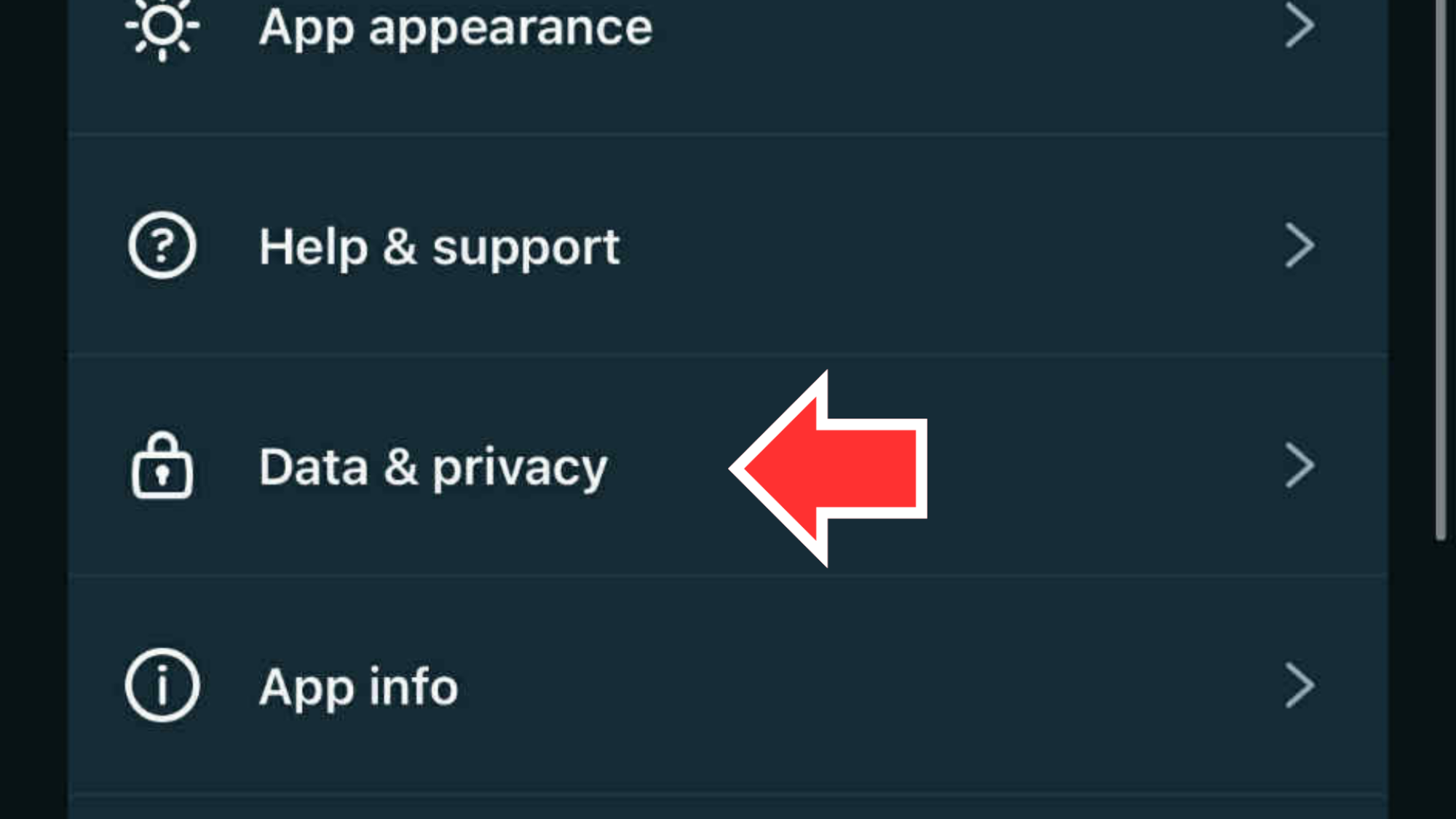A screenshot of Meta AI's settings, with a red arrow pointing to the "Data & privacy" option.