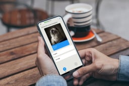 Qlango Language Learning: Lifetime Subscription (All Languages)