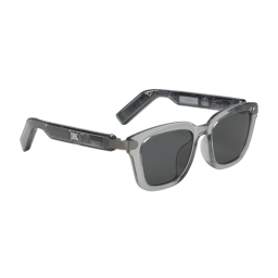 JBL Soundgear Frames