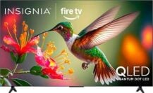 Insignia TV with hummingbird on screen