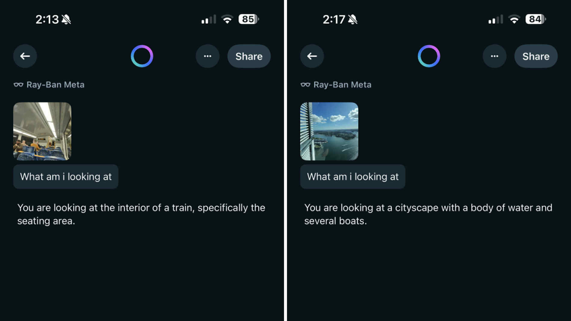 Two screenshots of Meta AI telling a person what they're looking at.