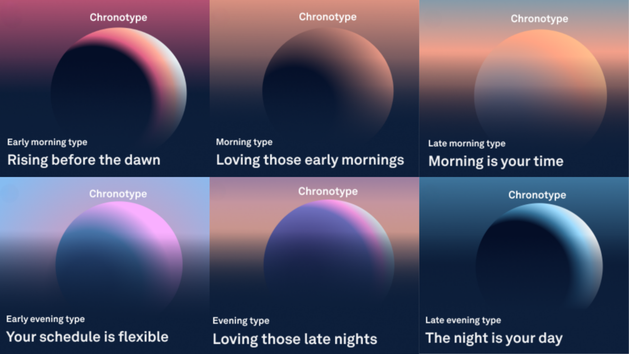 the six chronotypes in the oura ring app