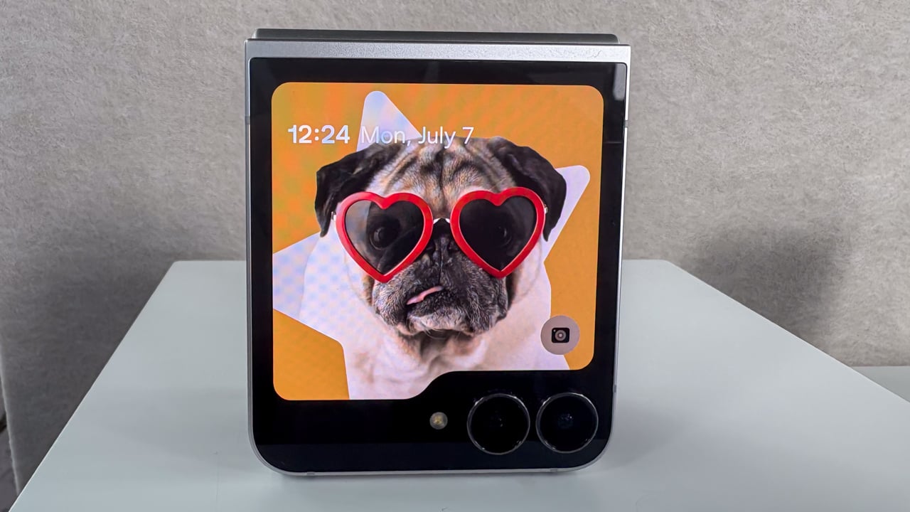 A phone display featuring a dog in sunglasses.
