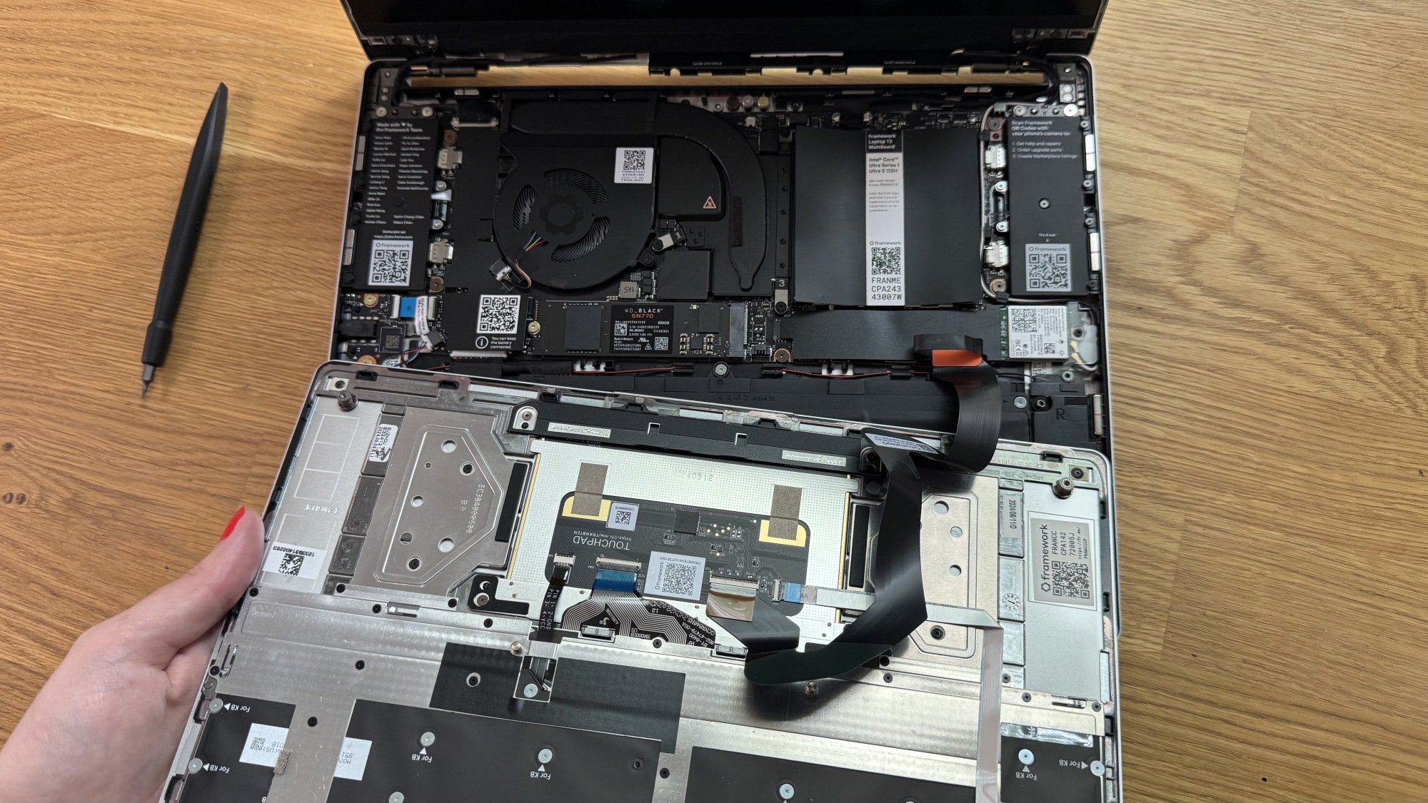 a close-up of a person installing a keyboard on the framework laptop 13