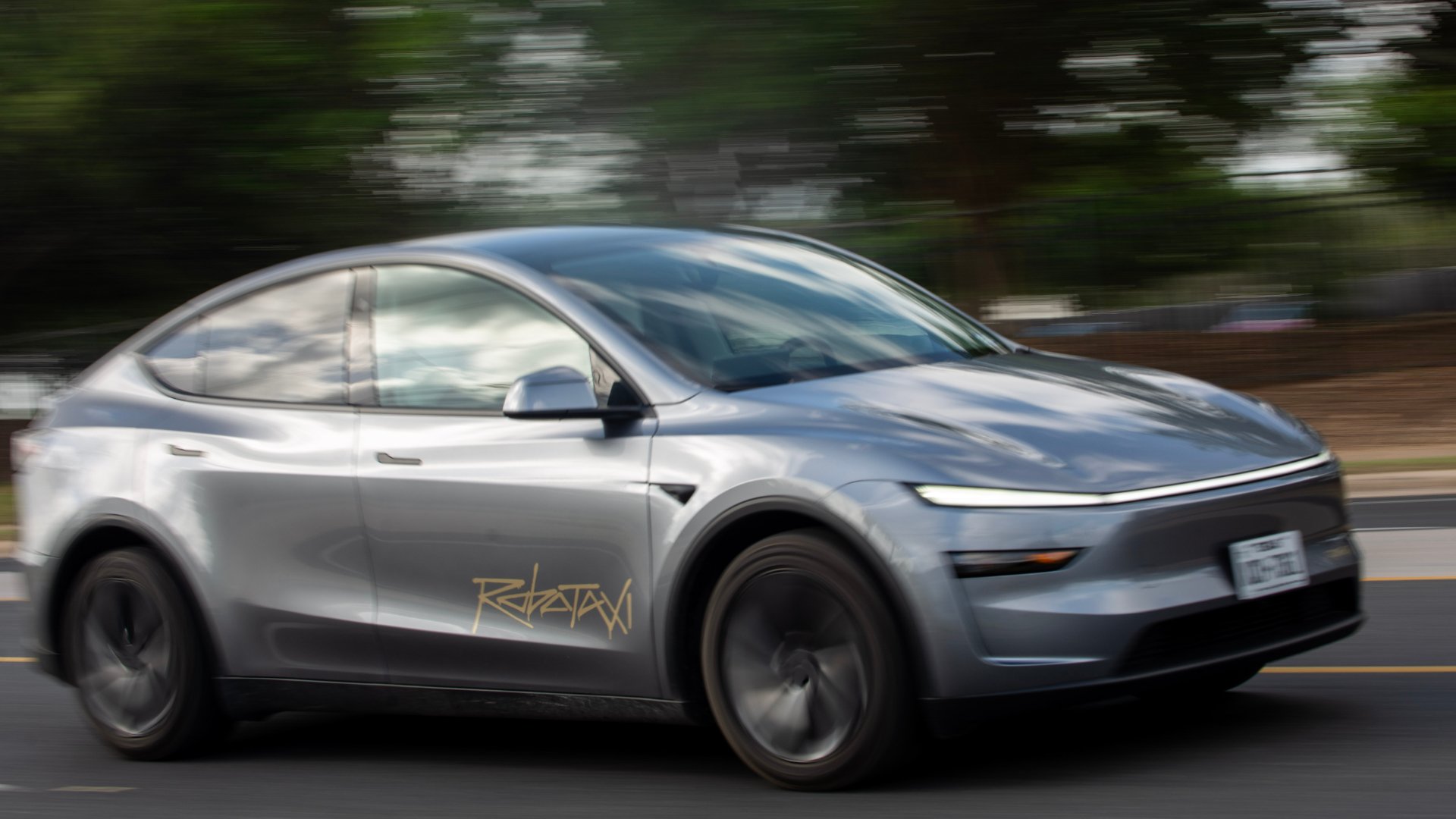 Tesla Robotaxi