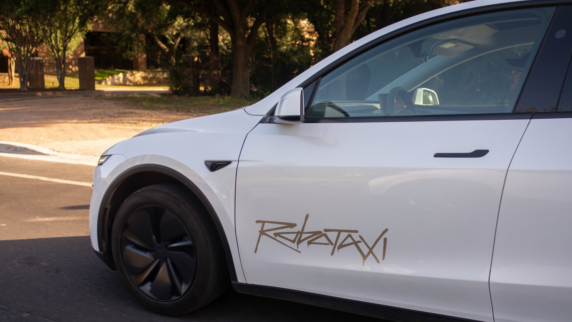 tesla robotaxi
