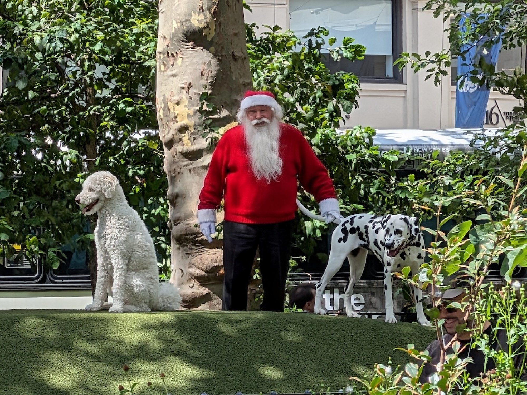 Two dogs with an AI-generated Santa standing between them
