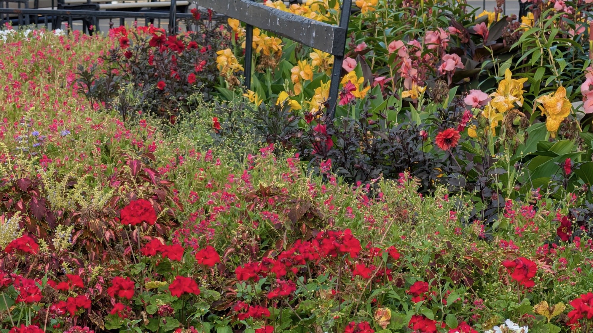 5x zoom photo of a garden