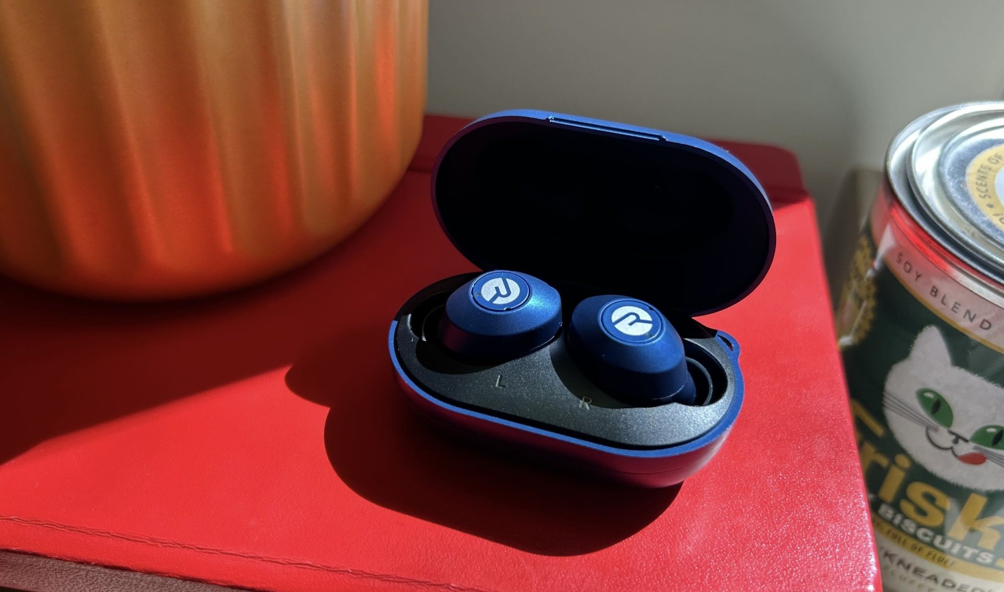blue raycon earbuds in open case propped on top of red notebook next to a planter