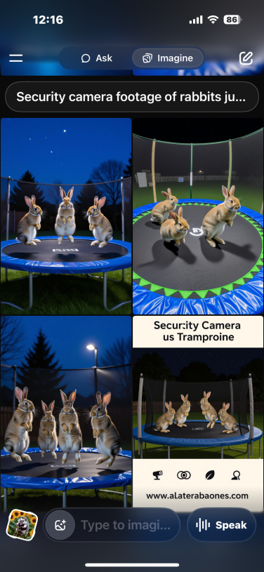 screenshot of grok app showing ai generated images of rabbits on trampolines