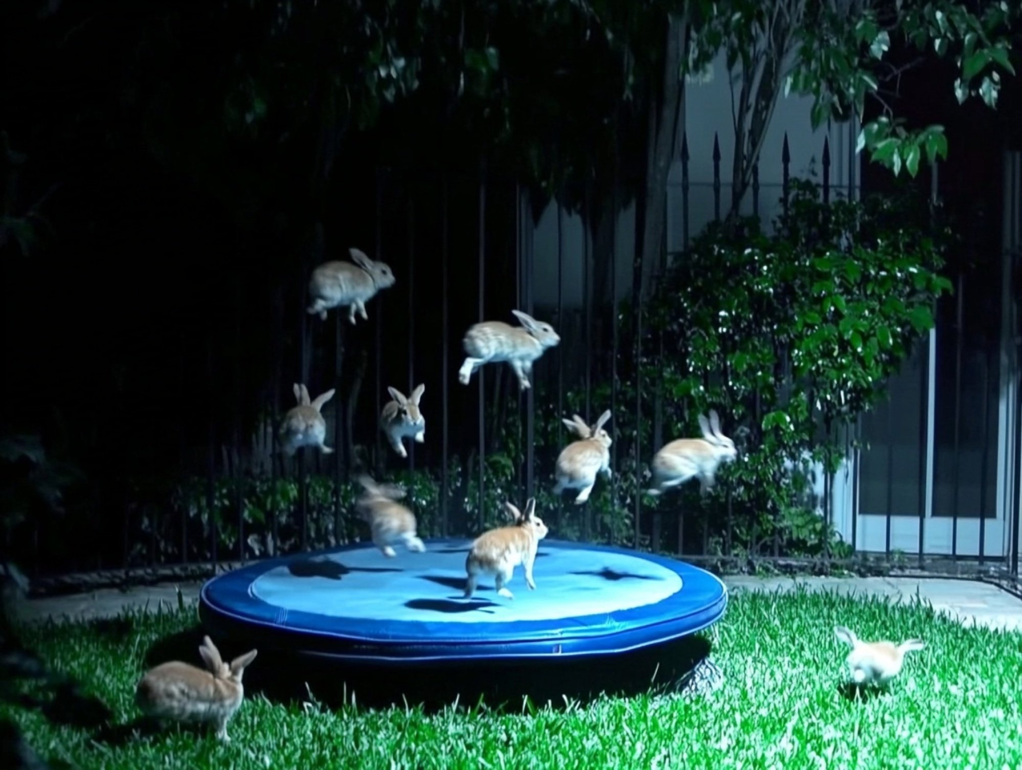 ai generated image of rabbits jumping on trampoline