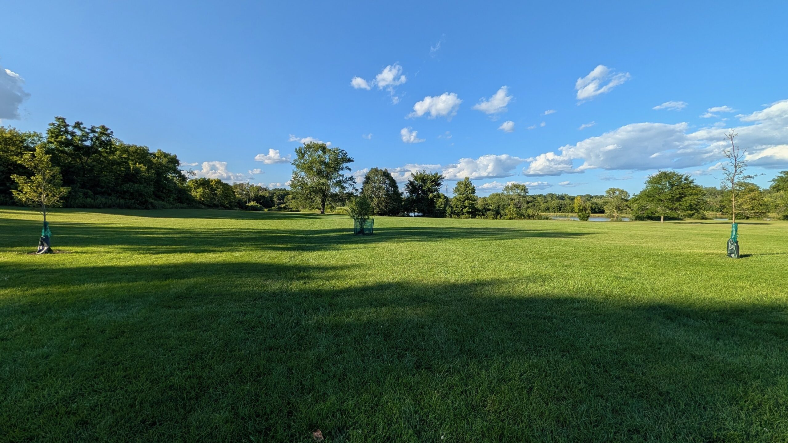 ultra-wide photo of a grassy lawn