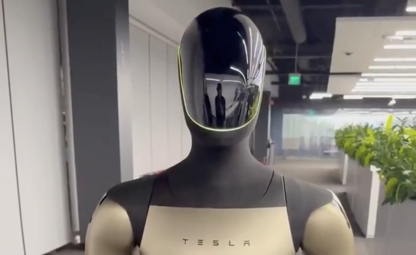 Tesla Optimus