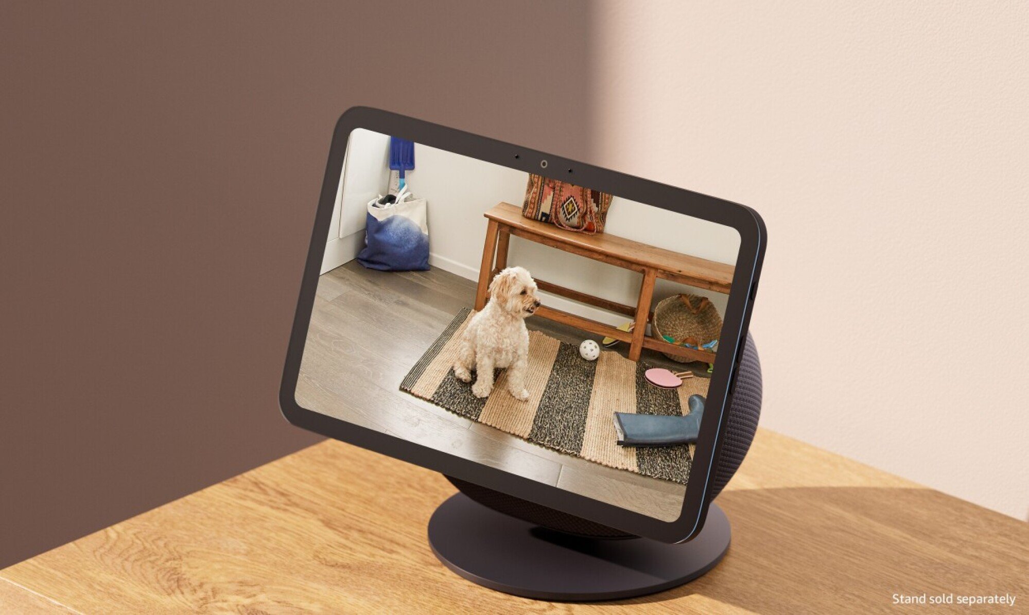 Amazon Echo Show with a camera feed of a dog on it