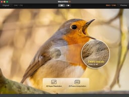 Macxvideo AI: Lifetime Subscription