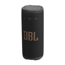 black JBL Grip speaker