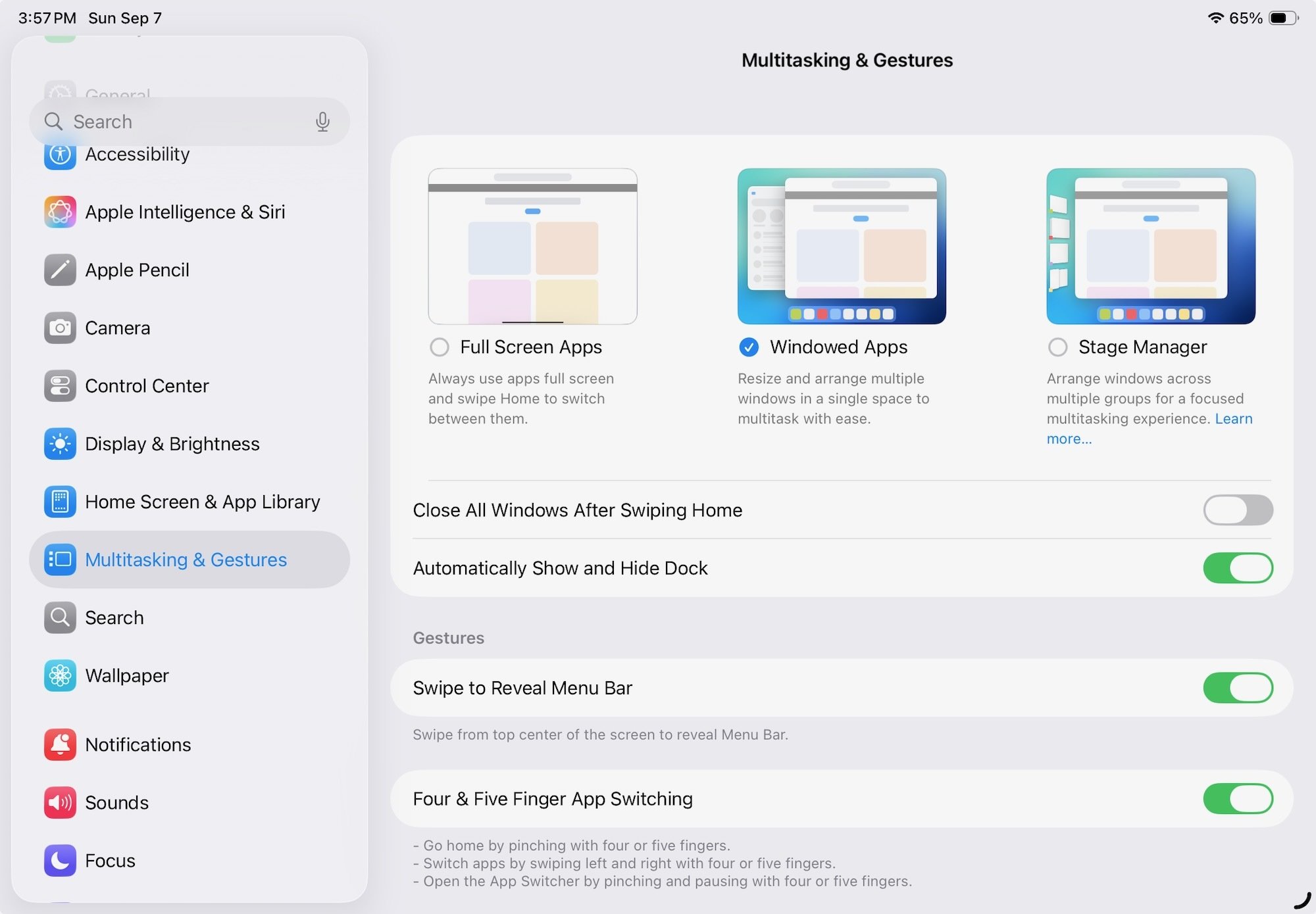 the multitasking & gestures options in iPad settings app