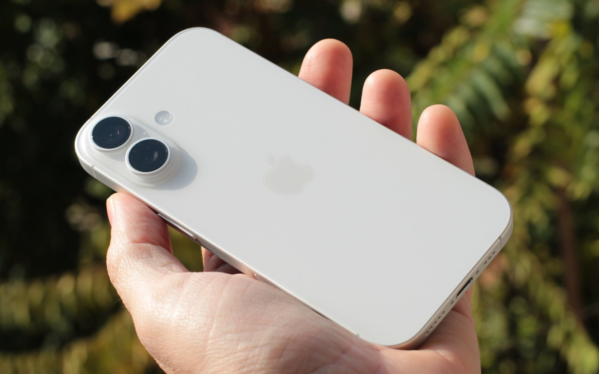 the iphone 17 held in hand with cameras showing
