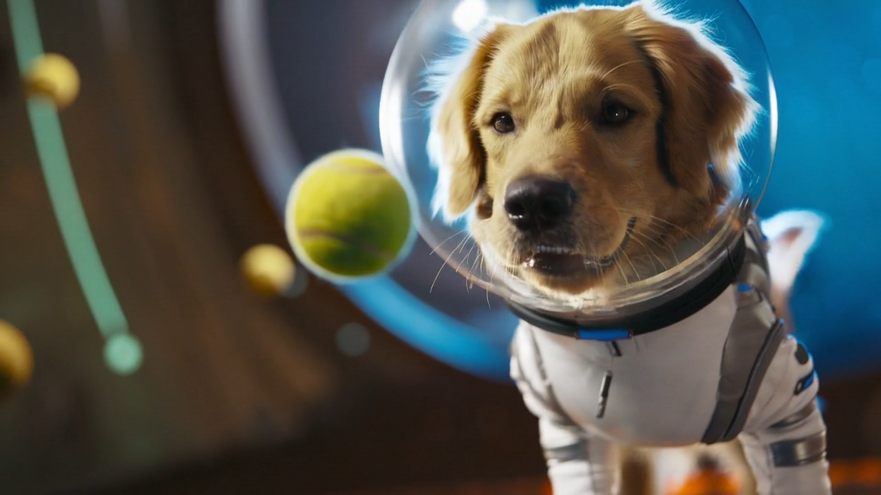 ai-generated image of dog in a space helmet staring at tennis ball