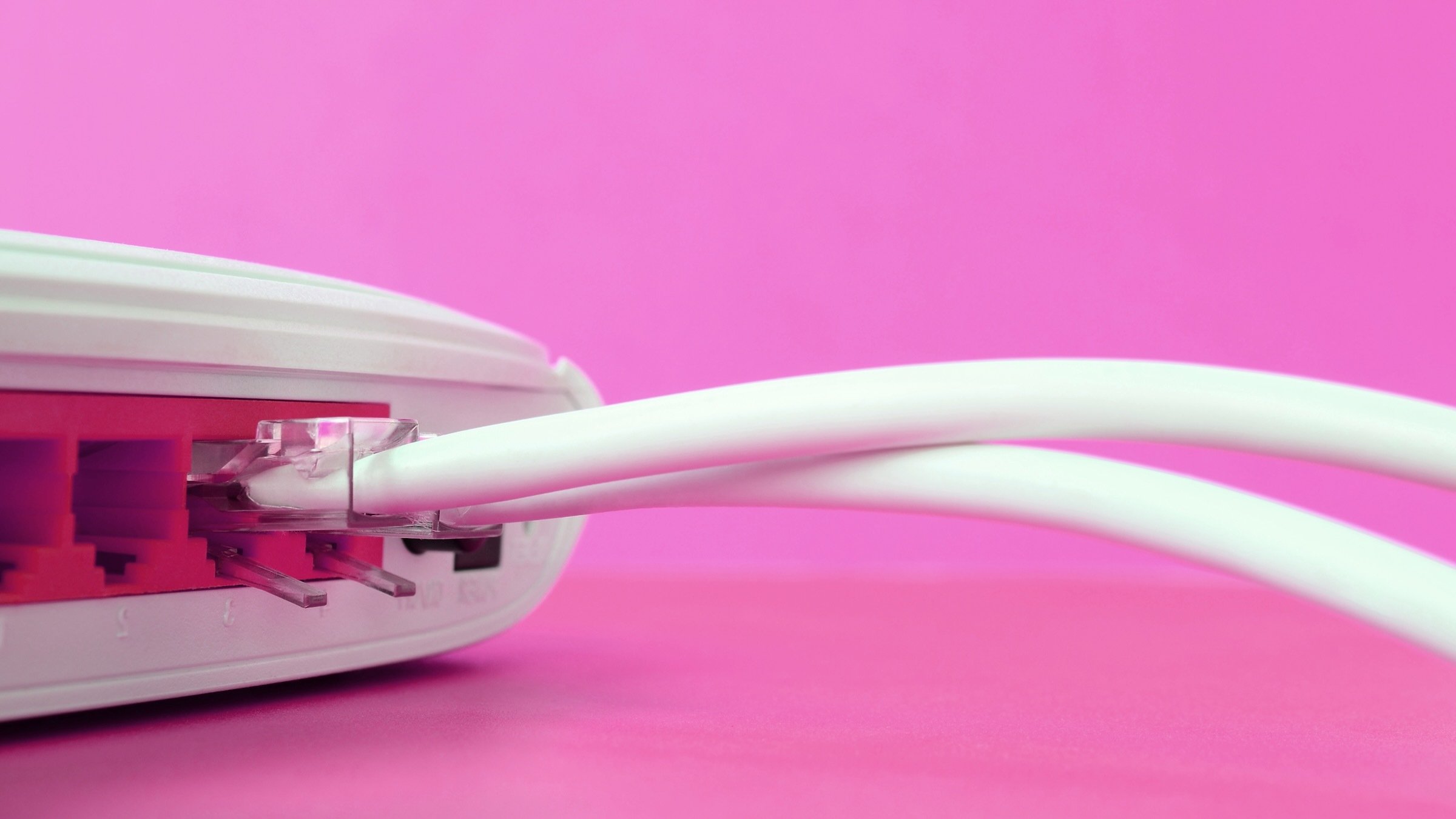 close-up of Internet cable plugs connected to router