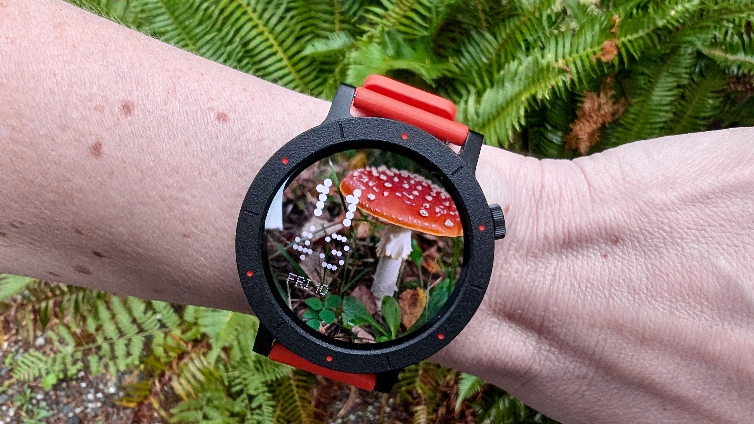 the cmf by nothing watch 3 pro on a wrist with a mushroom display