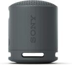 Sony SRS-XB100