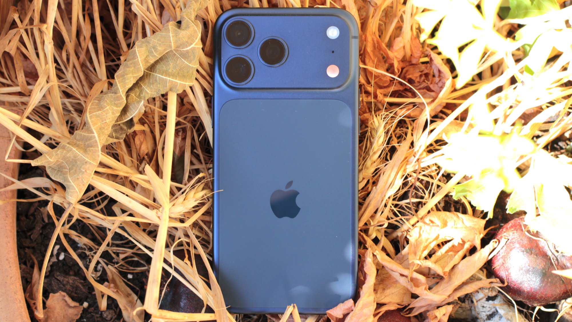 the iphone 17 pro max in blue lying on grass in sunlight
