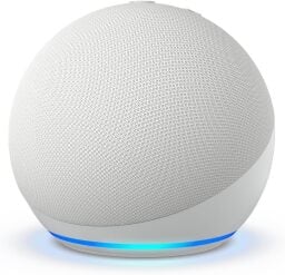 echo dot speaker against a white background