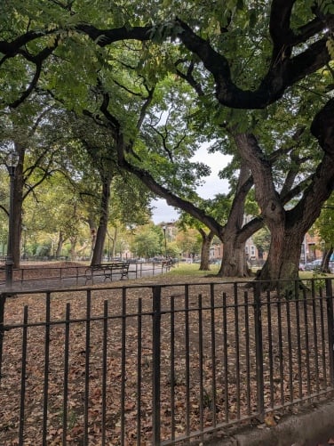 A light pole in a park from far away