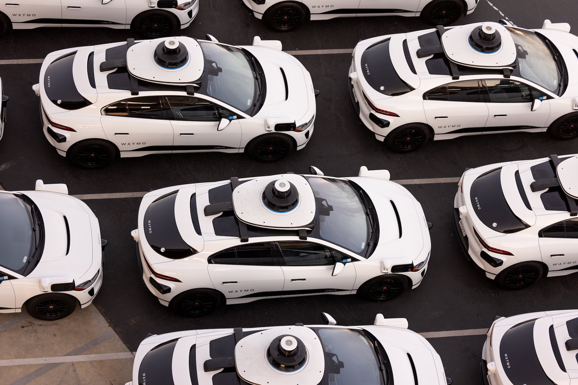 Waymo cars lined up on a street.