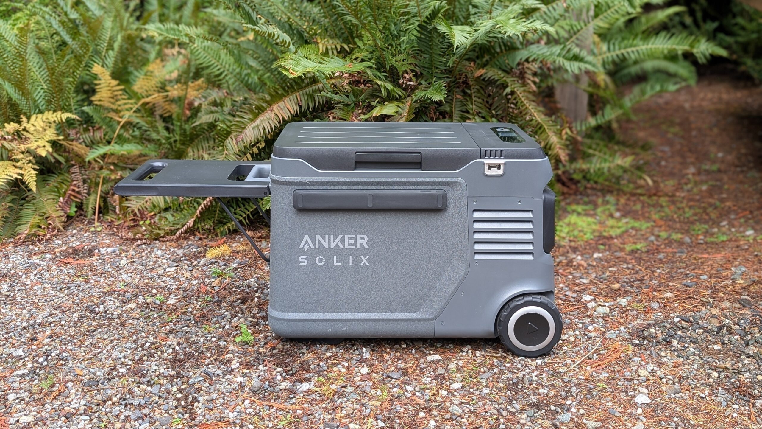 the anker solix everftost 2 electric cooler outside in front of ferns