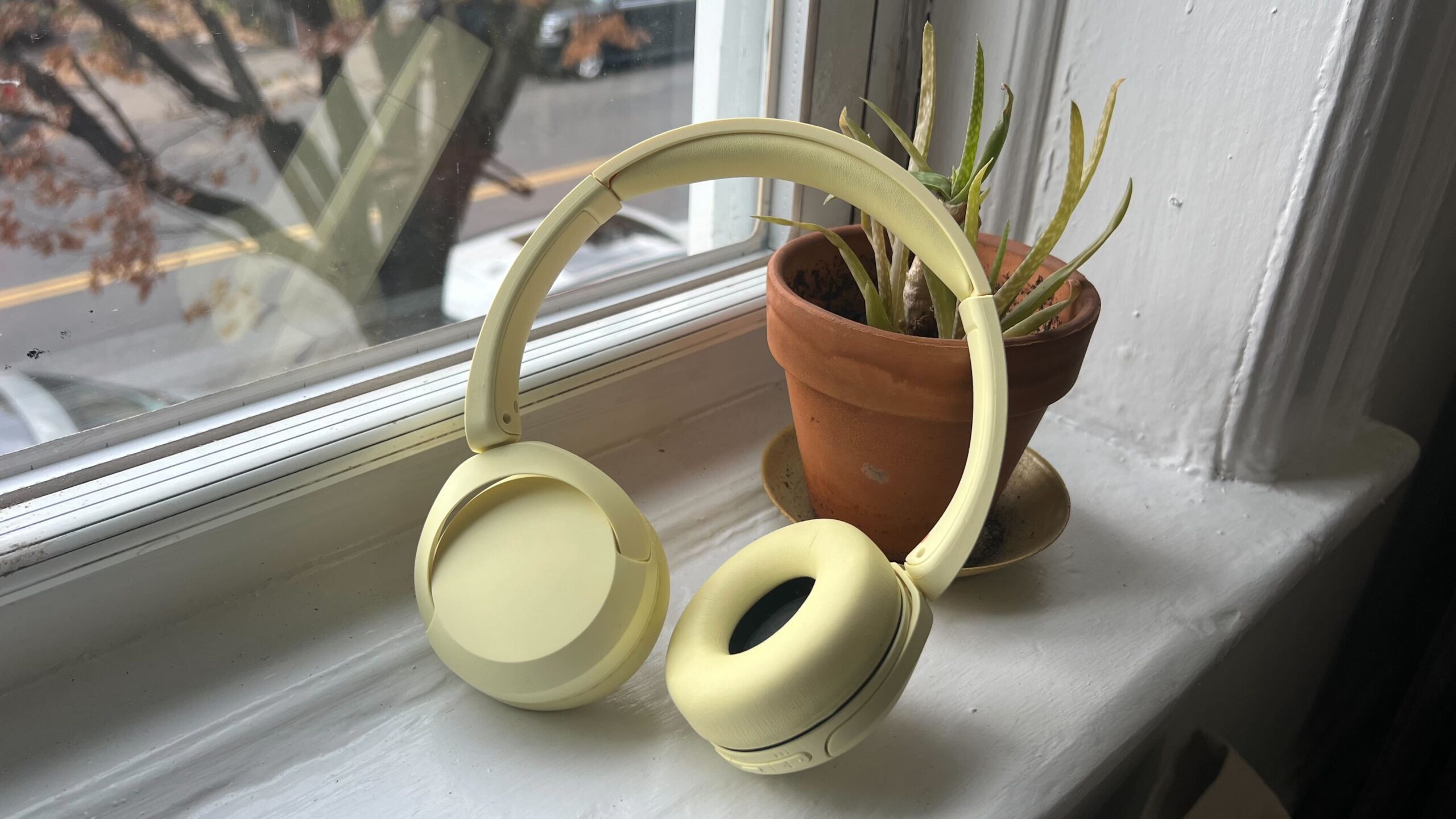 butter yellow sony headphones propped against plant on window sill