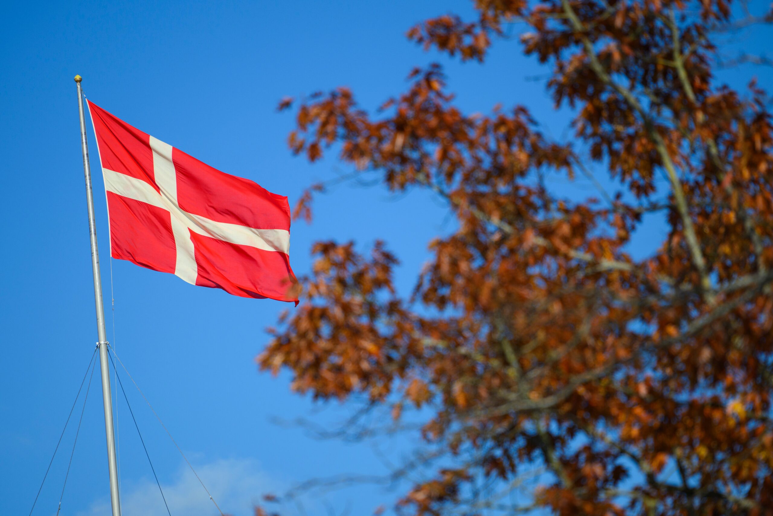 The danish flag is flying upon a state government building
