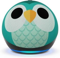 Echo Dot Kids