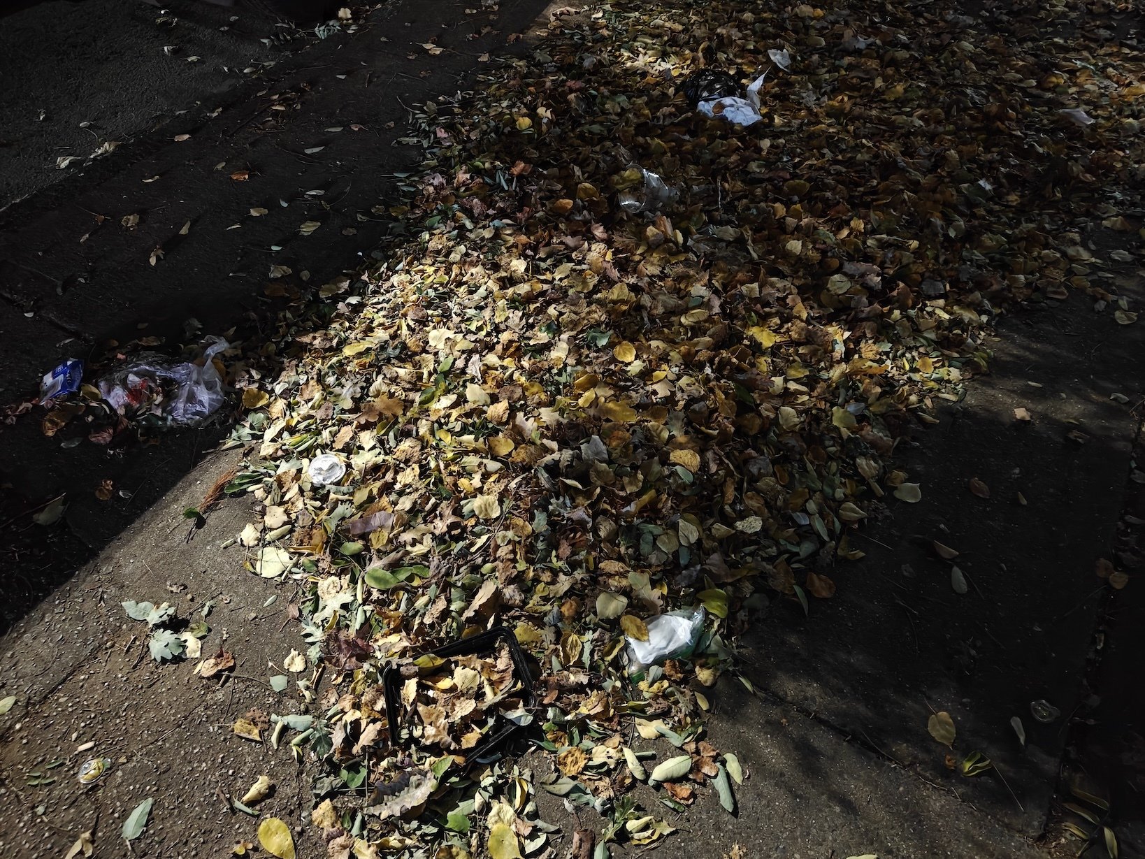A bunch of fall-colored leaves on the ground at nighttime, with night photography turned off