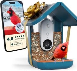 Bird Buddy Smart Bird Feeder with holiday bow