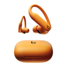 Beats Powerbeats Pro 2 Wireless Noise-Cancelling Sports Earbuds