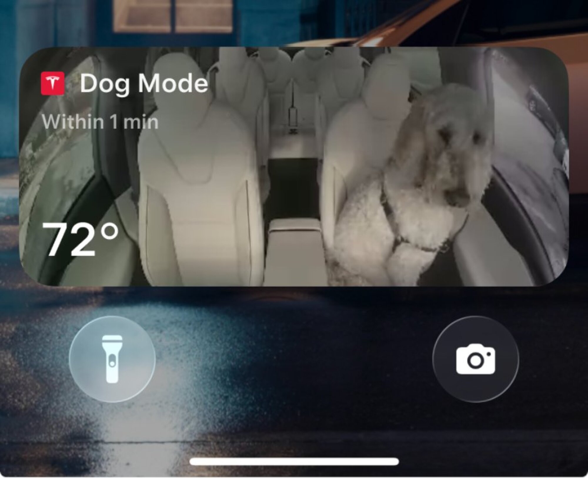 Tesla dog mode