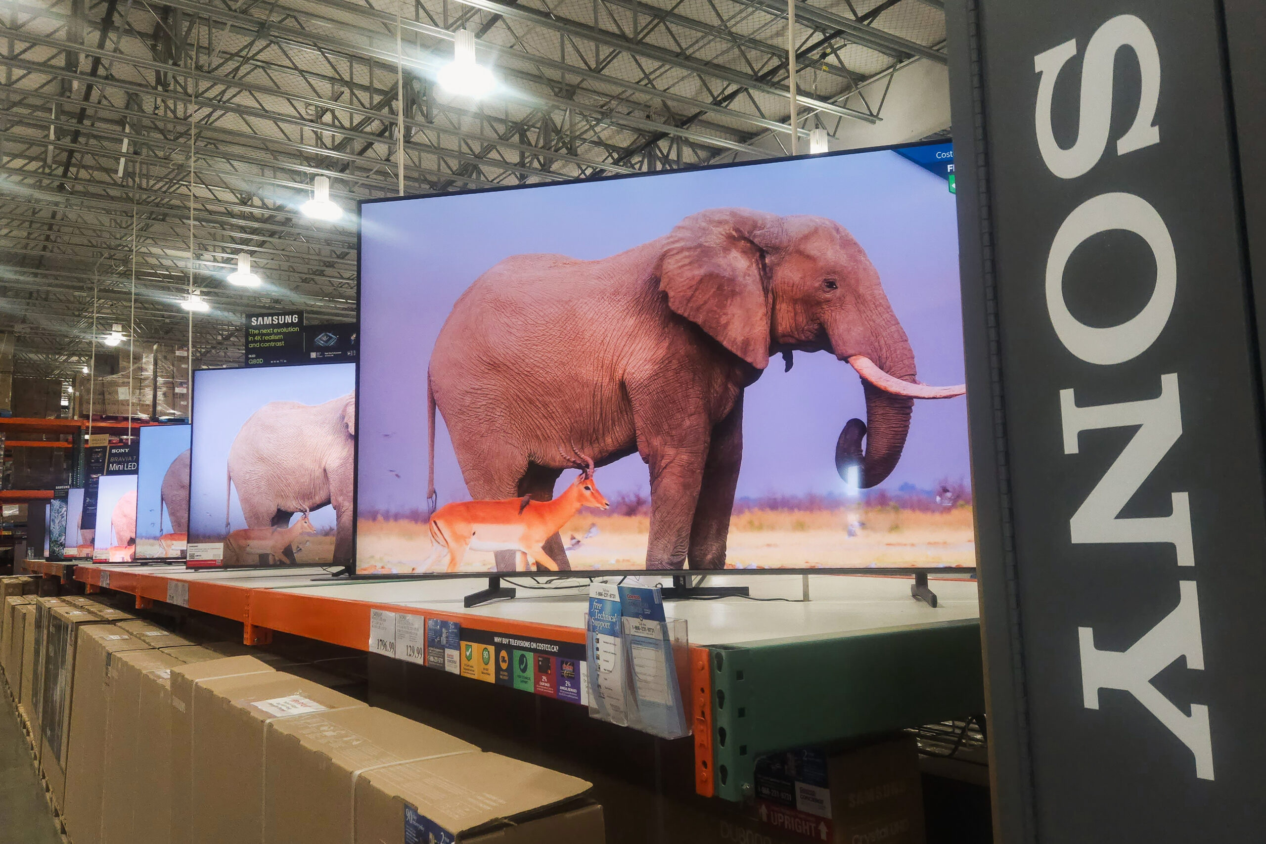 A lineup of Sony's 2025 TVs on display at a popular store